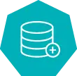 data icon