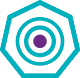 icon of a target with a bullseye highlighted