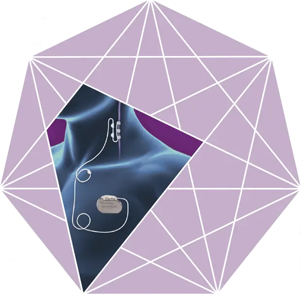 VNS Therapy™ Education Resources