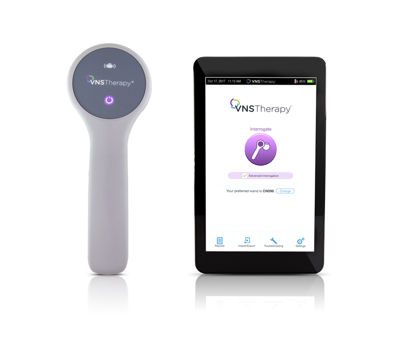 Introduction to the VNS Therapy™ System product portfolio