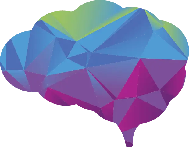 Brain