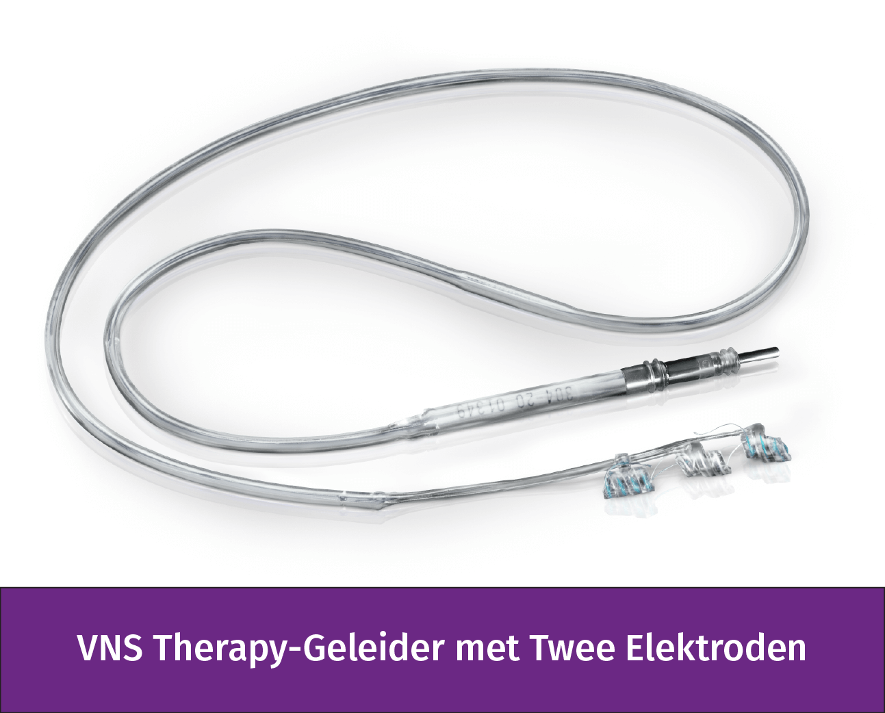 VNS-Website_Netherlands_Lead-Image.png VNS-Website_Netherlands_Lead-Image.png